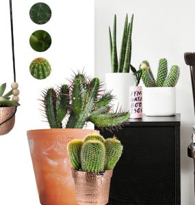 Moodboard | Cactus in huis | Stek Magazine