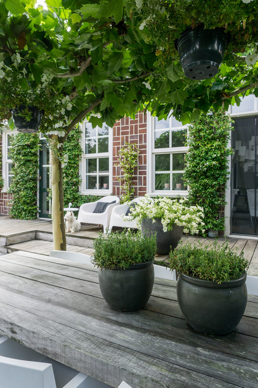 Tuinstijl: Modern, minimalistisch en Scandinavisch
