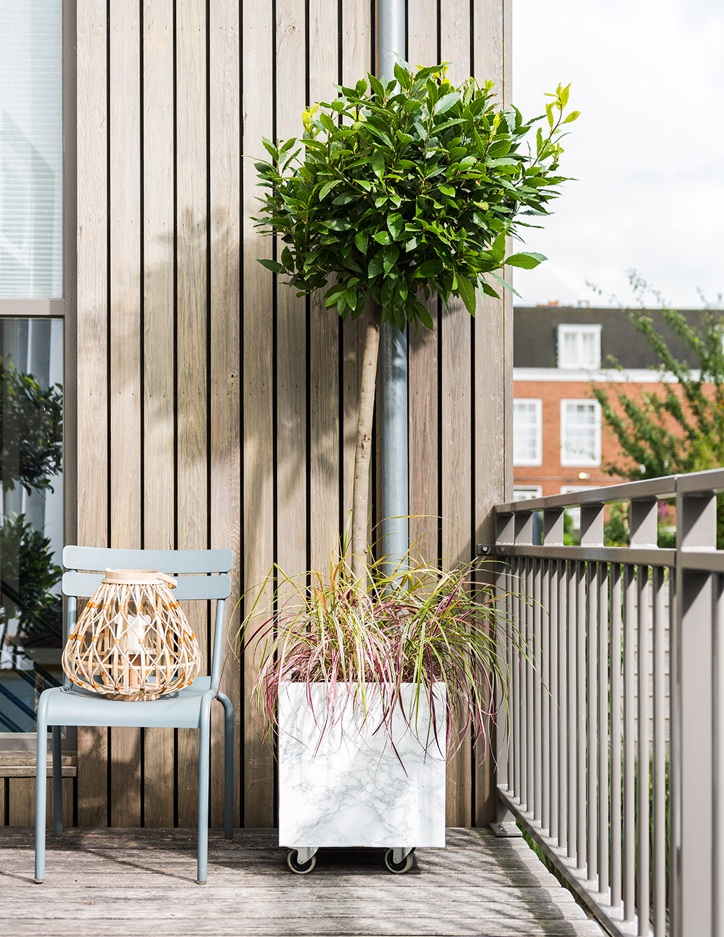 Balkonplant 2019 Laurier | Stek Magazine | Balkon