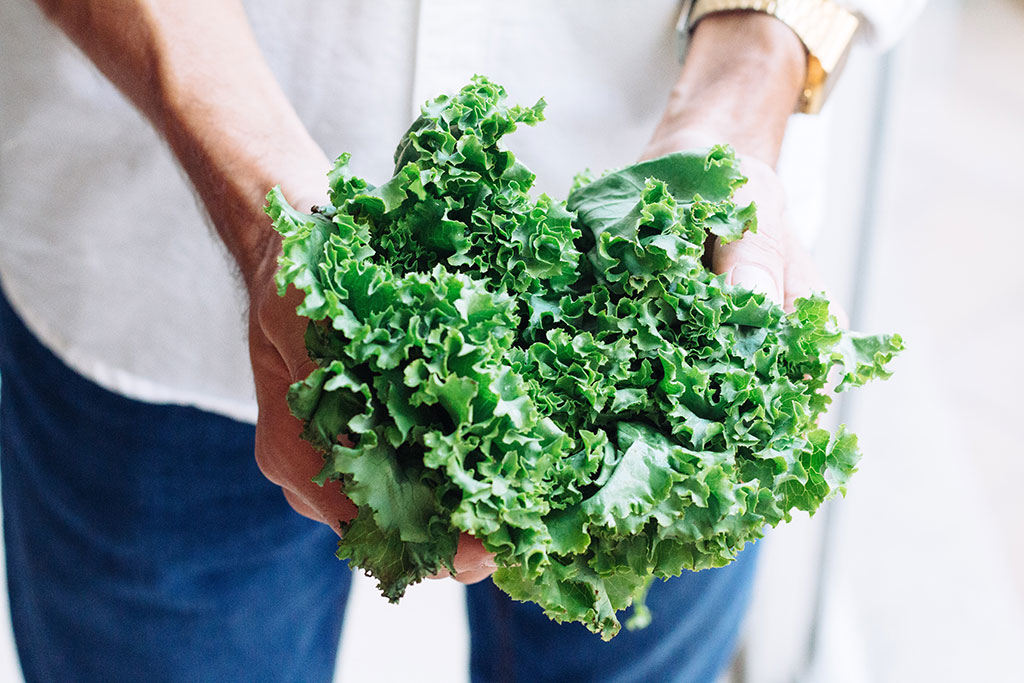 Kan een moestuin op het balkon? Stek Magazine